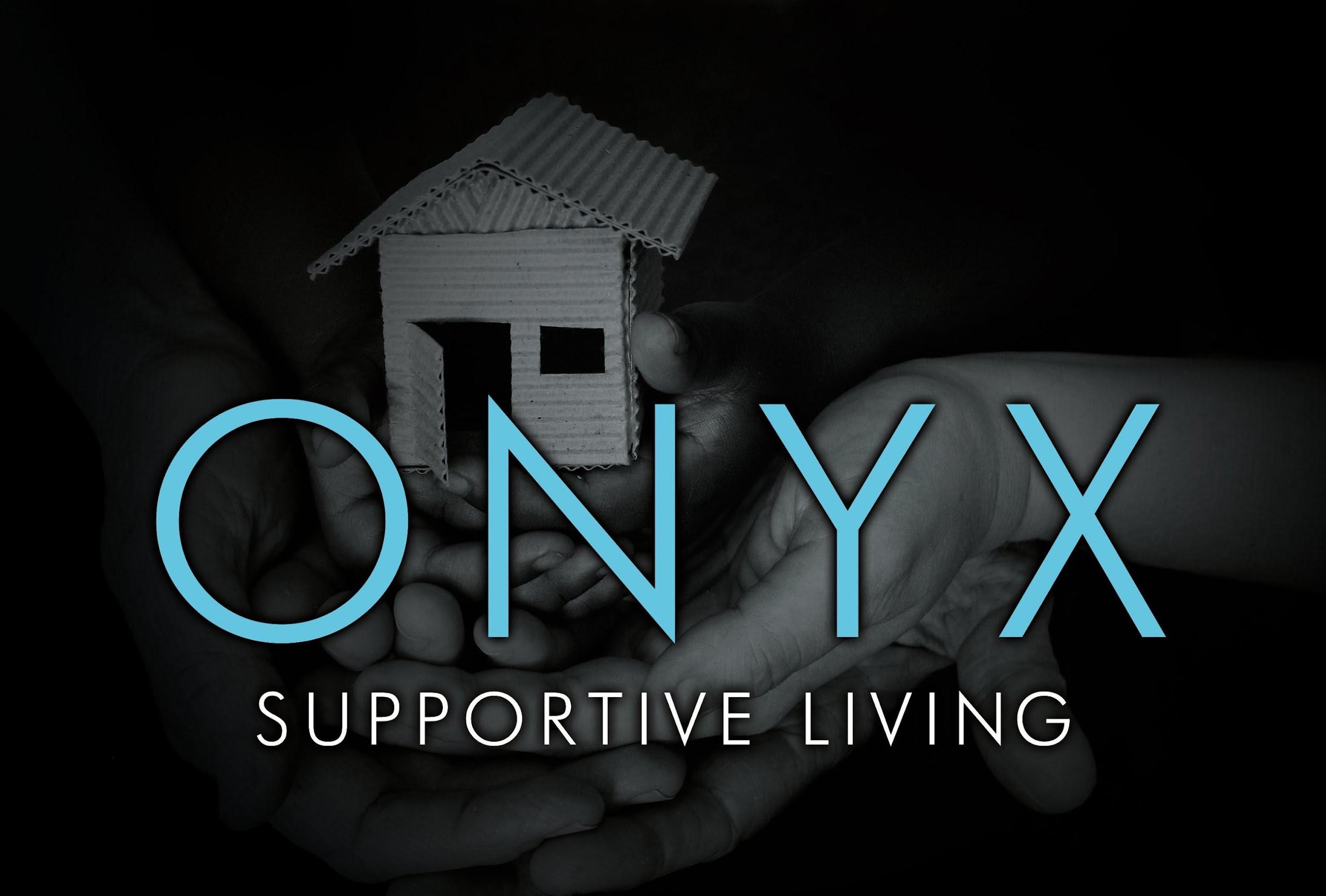 Onyx Banner